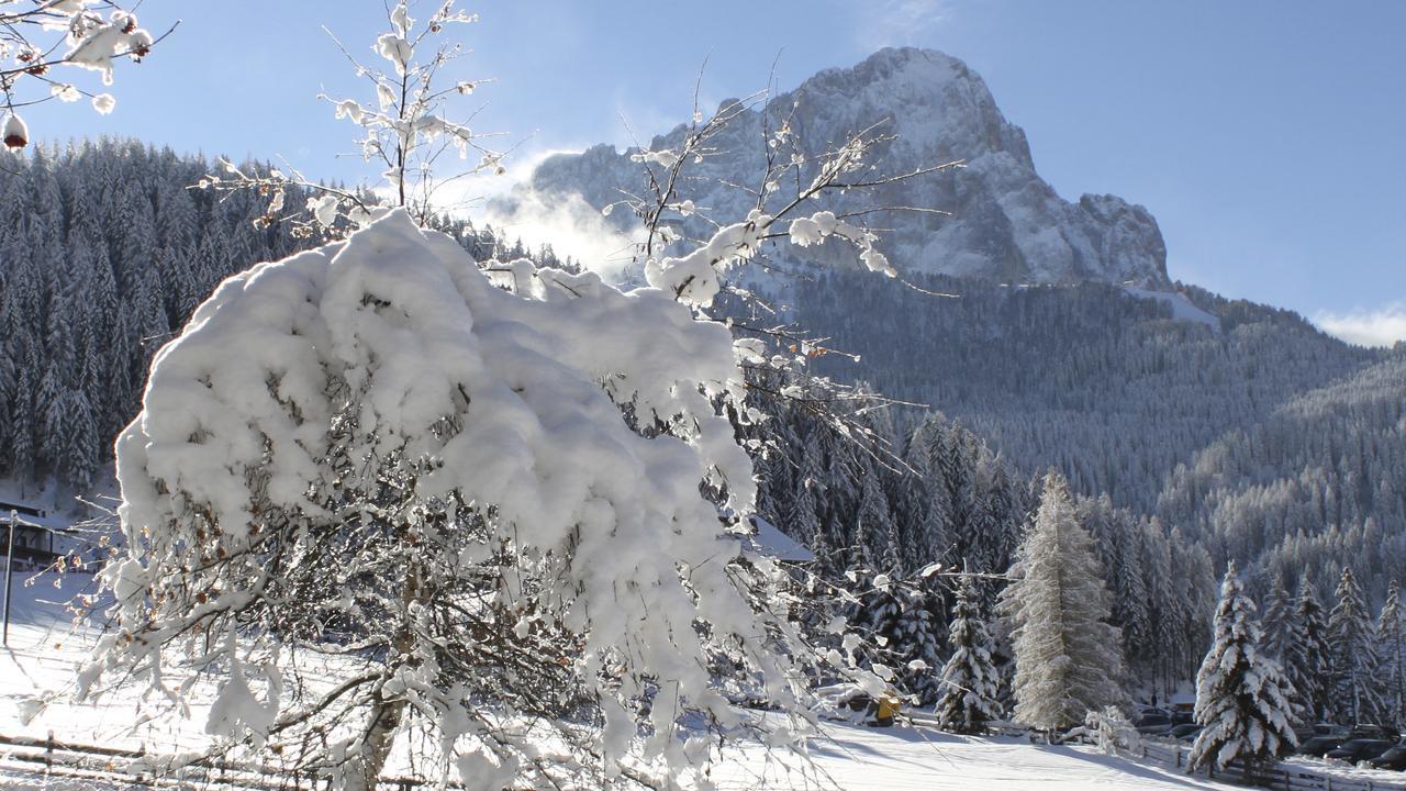 Garni Hotel Rosengarten B&B Selva di Val Gardena Eksteriør bilde